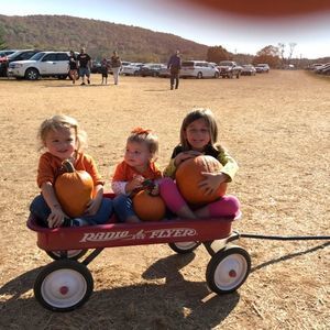 Meet your Posher, Rhonda